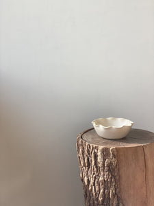 Mini bowl - toi toi 1