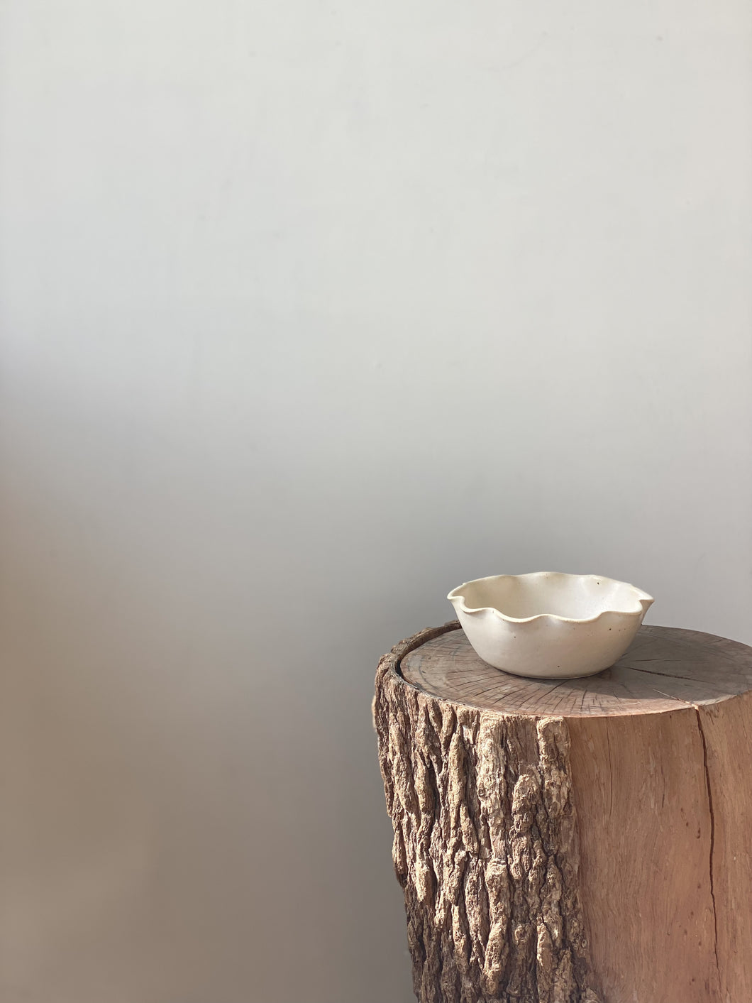 Mini bowl - toi toi 1