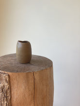 Load image into Gallery viewer, beaker - moss
