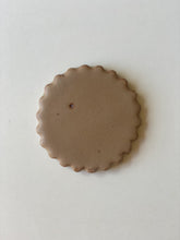 Load image into Gallery viewer, colour biscuit samples
