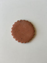 Load image into Gallery viewer, colour biscuit samples
