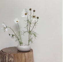 Load image into Gallery viewer, forage hoop - cloud 2
