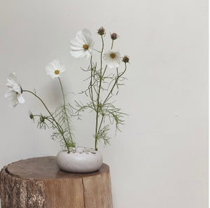 forage hoop - cloud 2